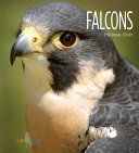 Falcons cover