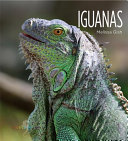 Iguanas cover