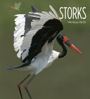 Storks cover