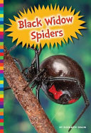 Black Widow Spiders cover