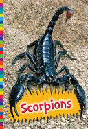 Scorpions cover