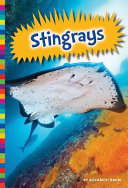 Stingrays cover