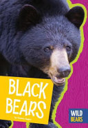 Black Bears cover