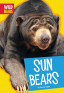 Sun Bears cover