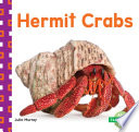 Hermit Crabs cover