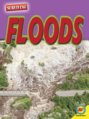 How to Survive a Flood/Floods cover