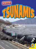 How to Survive a Tsunami/Tsunamis cover