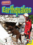 How to Survive an Earthquake/Earthquakes cover