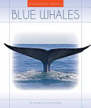 Blue Whales cover