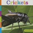 Crickets cover