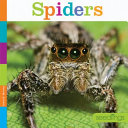 Spiders cover