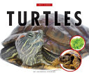 Turtles cover