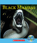 Black Mambas cover