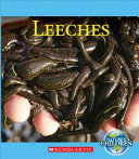 Leeches cover