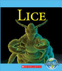 Lice cover
