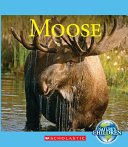 Moose cover