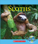 Sloths cover