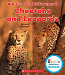 Cheetahs and Leopards cover