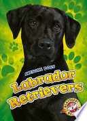 Labrador Retrievers cover