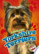 Yorkshire Terriers cover