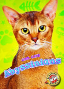 Abyssinians cover