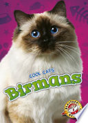 Birmans cover