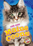 Maine Coons cover