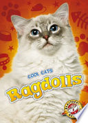 Ragdolls cover