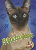 Siamese cover