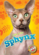 Sphynx cover