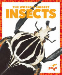 The World's Biggest Insects cover
