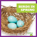 Birds in Spring cover