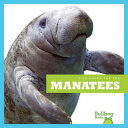 Manatees (Life Under the Sea/Jump!) cover