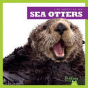 Sea Otters (Life Under the Sea) cover