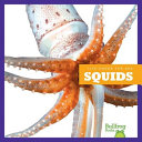 Squids cover