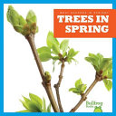 Trees in Spring cover
