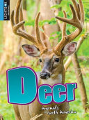 Deer (Lightbox) cover