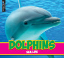 Dolphins (Lightbox) cover