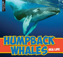 Humpback Whales (Lightbox) cover