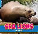Sea Lions (Lightbox) cover