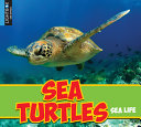 Sea Turtles (Lightbox) cover