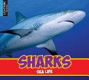 Sharks (Lightbox) cover