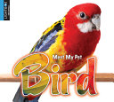 Bird (Lightbox) cover