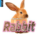 Rabbit (Lightbox) cover