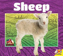 Sheep cover