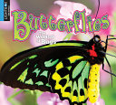 Butterflies (Lightbox) cover