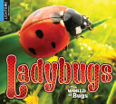 Ladybugs (Lightbox) cover