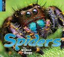 Spiders (Lightbox) cover