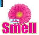 Smell (Lightbox) cover