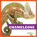 Chameleons cover